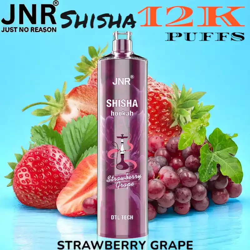 JNR Shisha 12K Puffs Sterke DTL Vape met 16ml E-liquid