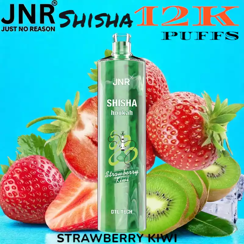 JNR Shisha 12K Puffs Sterke DTL Vape met 16ml E-liquid